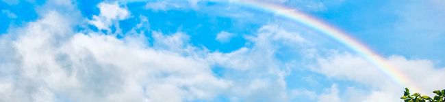 ｎ◆ｋ's header image