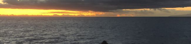 Lucy's header image