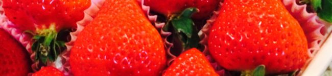 ばれるんるん's header image