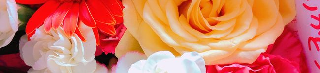 ノンタン♫'s header image