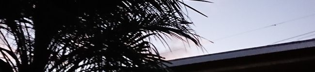 8040☆'s header image