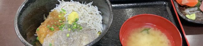ハチトラ's header image