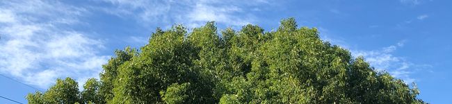 母さん1971's header image