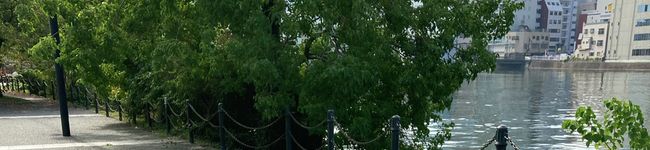 kaimomy's header image