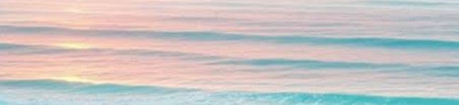 Angel22's header image