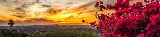 ♡SCOFA♡'s header image