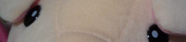 sunsun3's header image