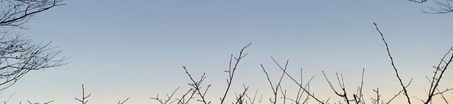 ossuu's header image