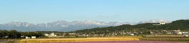 ★＊SNOW＊★'s header image