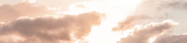 にっこにこレシピ's header image