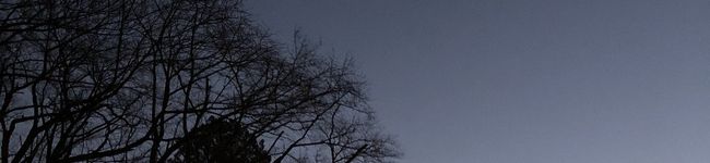 Suez519's header image