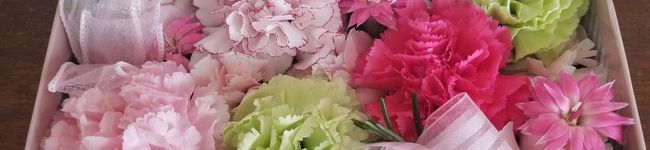 ねーさんち's header image