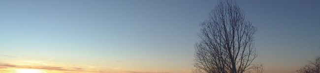 nakkya55's header image