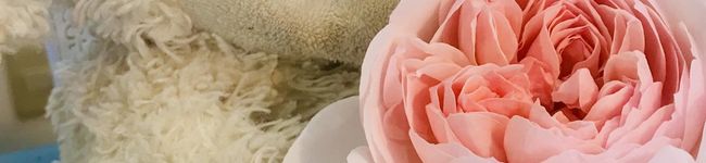 ぱにこまる's header image
