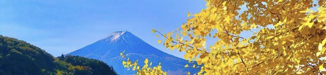 Yui’sキッチン's header image