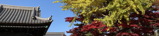 おうちはのうか's header image