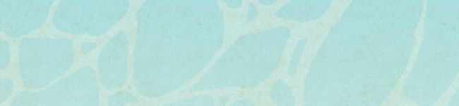 youyouyou☆'s header image