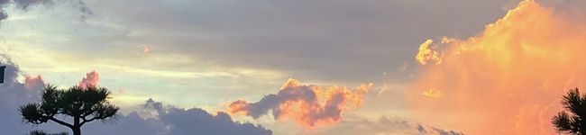 yumeko1191's header image