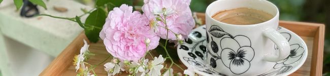 Kotone119's header image