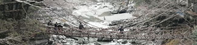 BTMFOREST's header image