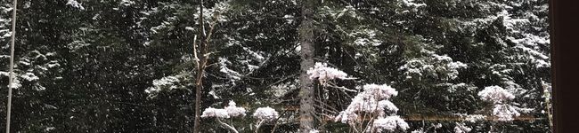 asaojyoo☆'s header image