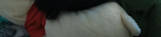 10分すけ's header image