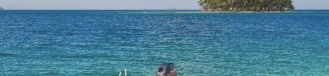 えくクック's header image