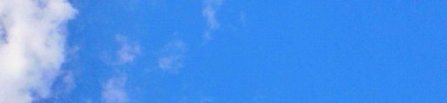 おまめの食卓's header image
