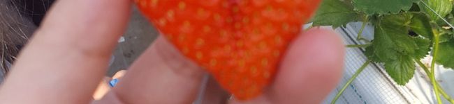 ☆えりさ☆'s header image