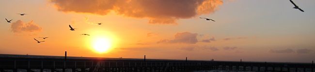VinLapin's header image