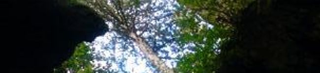 aimun's header image