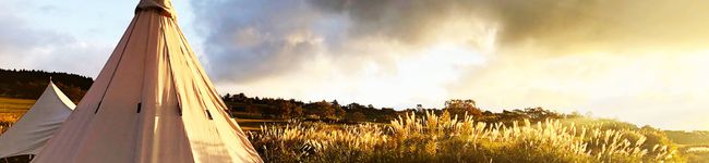 snjssk's header image