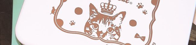 aKiK0629's header image