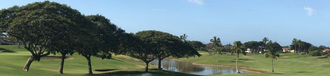 Kapolei's header image