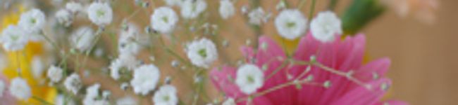 sora_nyanko's header image