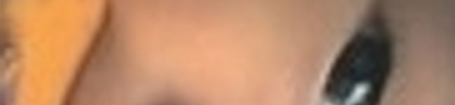 papitan's header image