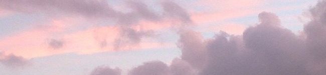 ずんだ姫。's header image