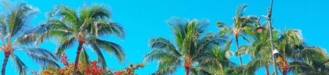 BANANA1012's header image