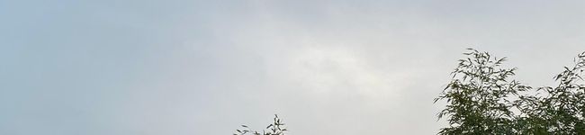 ixviii's header image