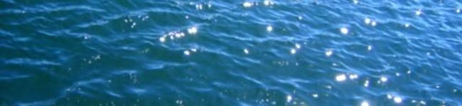 陽星っち's header image