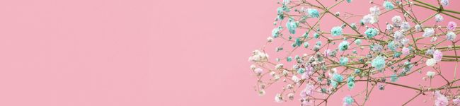 ウンソ９２６'s header image