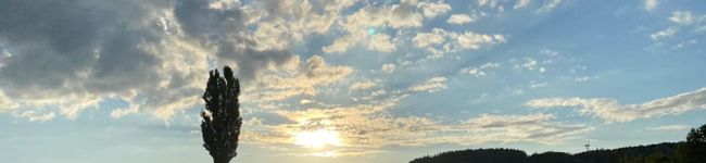 ringo0805's header image