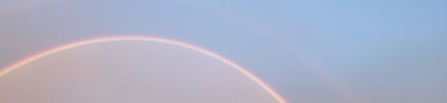 ほわくま's header image