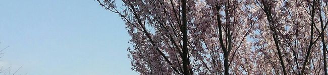 クックE4FT2U☆'s header image