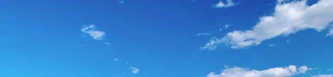 Niniu's header image