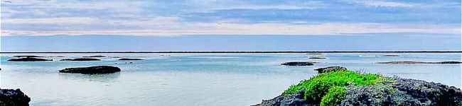 nonkokee's header image