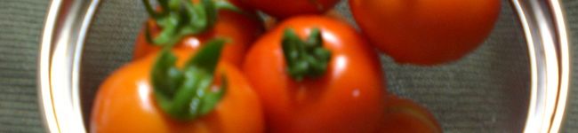 CHAACO's header image