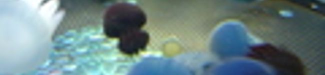 marinu's header image