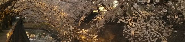 かりかりあんず's header image