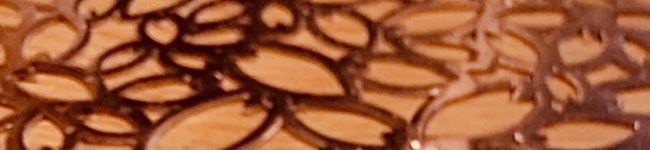 牛セロリトマト's header image